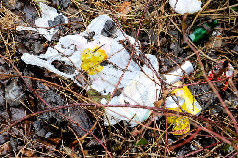 a thrown away plastic bag and rubbish