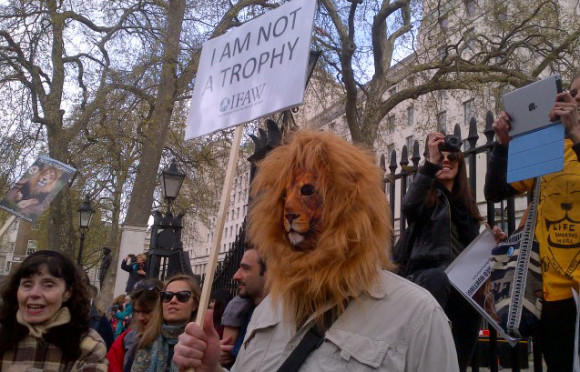 Stop lion trophy hunting